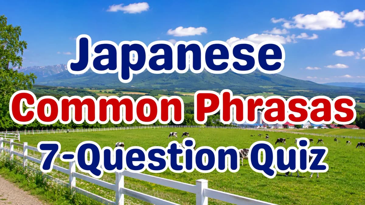 Japanese Common Phrases Quiz